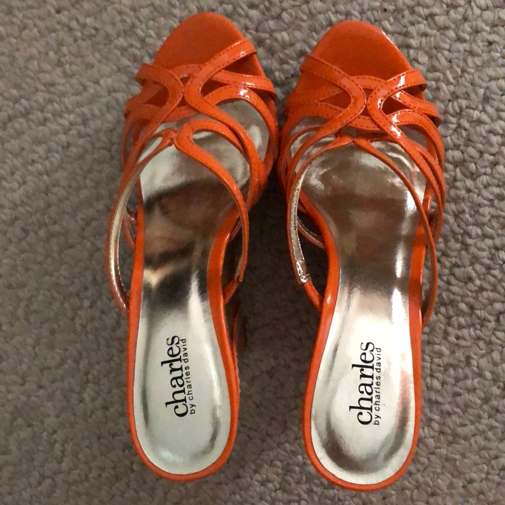 NWOB Charles David shoes. Never worn.